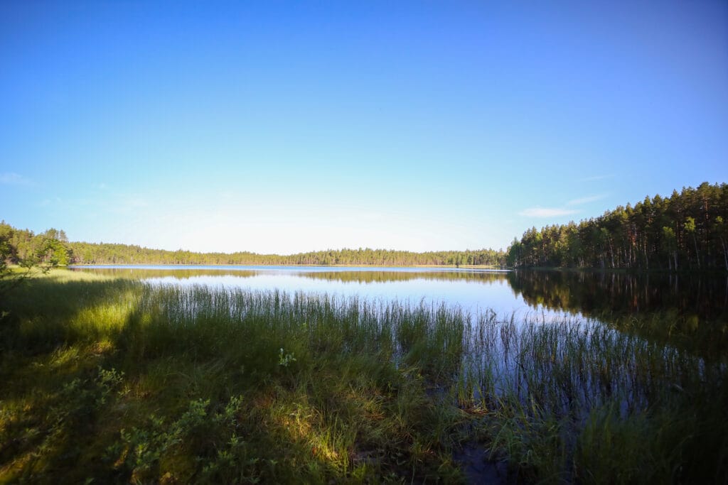 Järvimaisema, Parkano