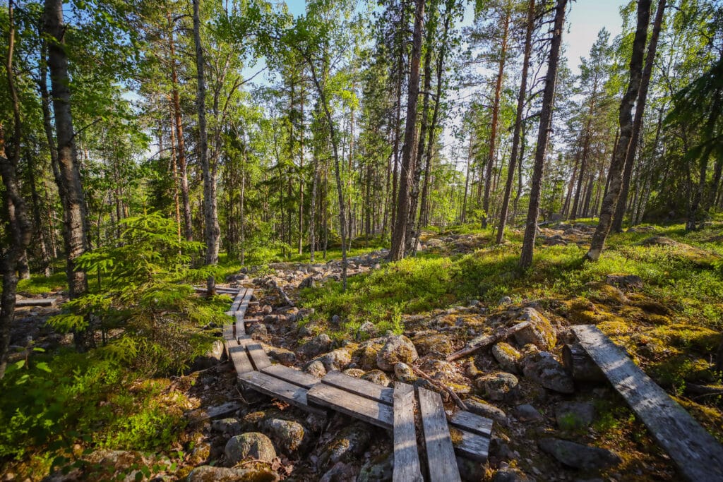 Luontokuva Parkanon luontokohteesta, pitkospuut