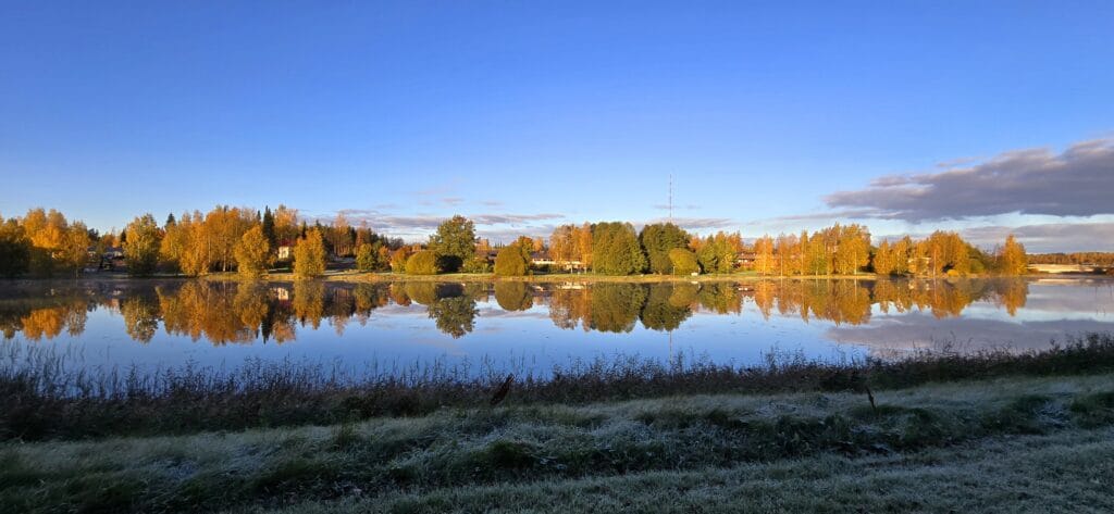 Peilityyni järvi