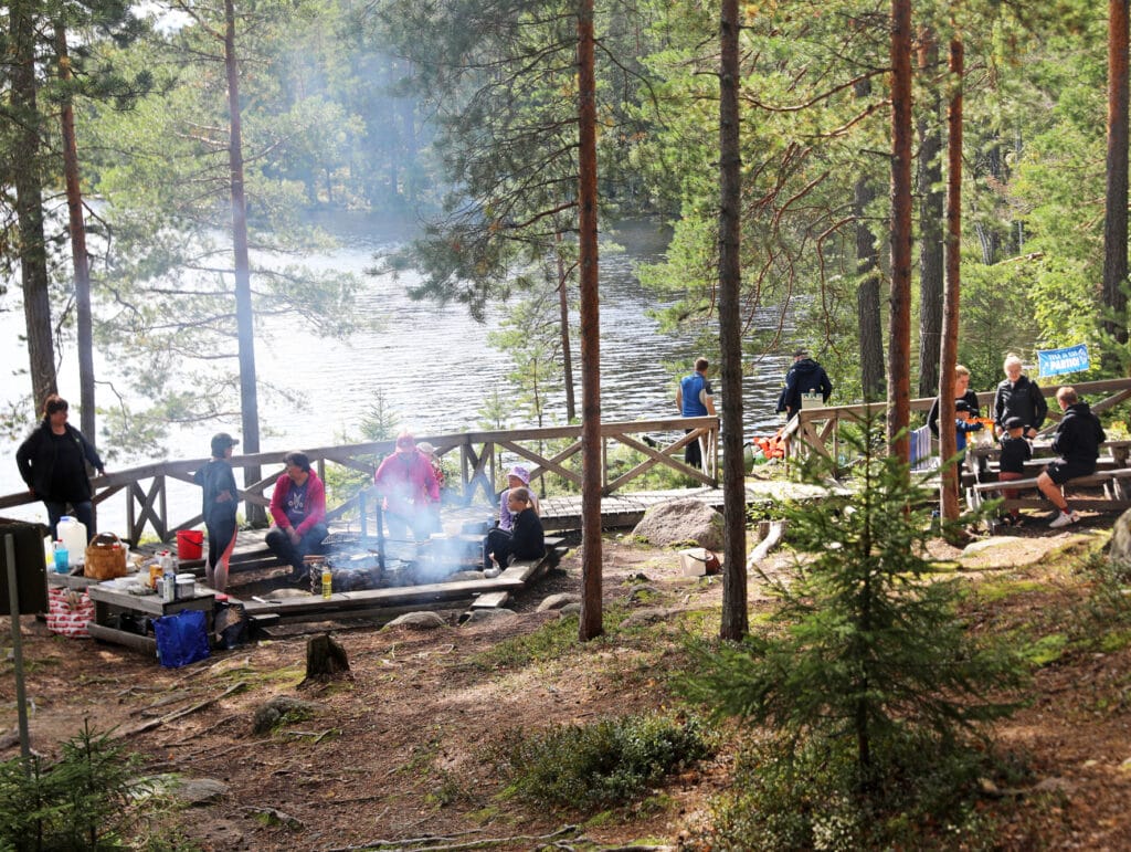 Metsämuseopäivä, kulttuuri