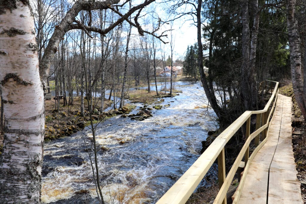 Viinikanjoki retkeilyreitti