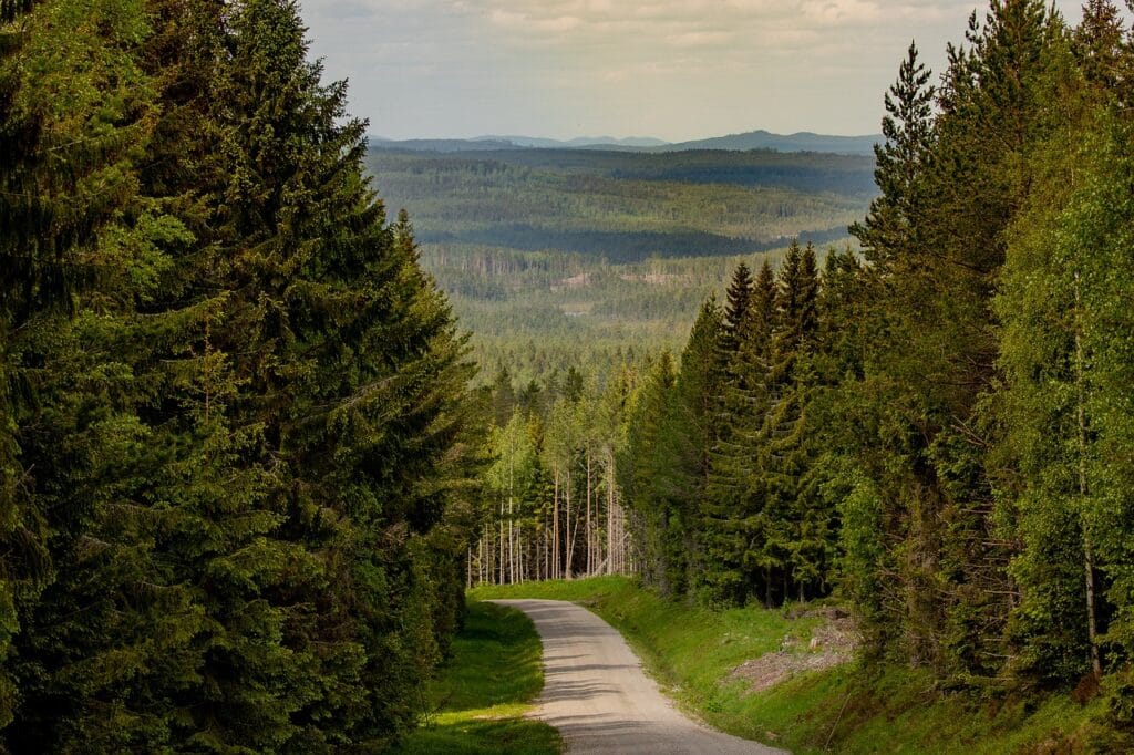 Hiekkatie metsässä, Yksityistiet