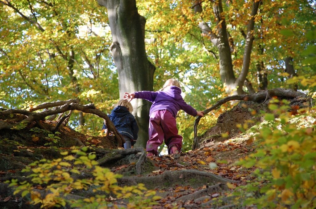 Lapsia, kiipeilevät metsäpolulla