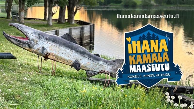 Puinen kala rannalla