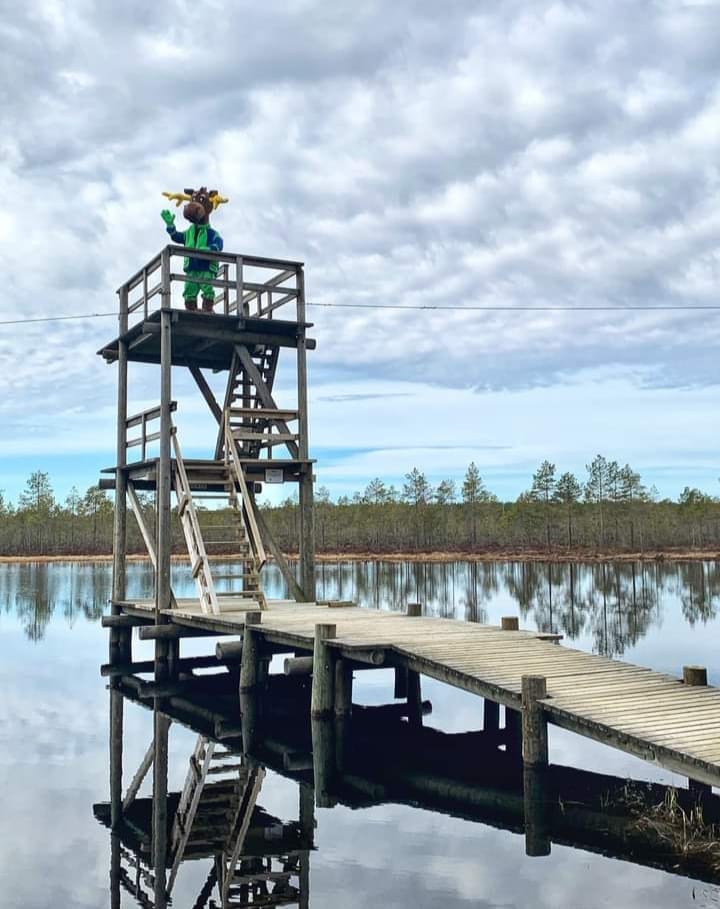 Lapinnevan Harjulampi on yleinen uimaranta, missä sijaitsee Parkanon ainut hyppytorni
