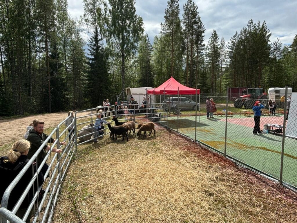 Lapinnevan markkinat - kotieläimiä rapsuteltavana ja nähtävänä.