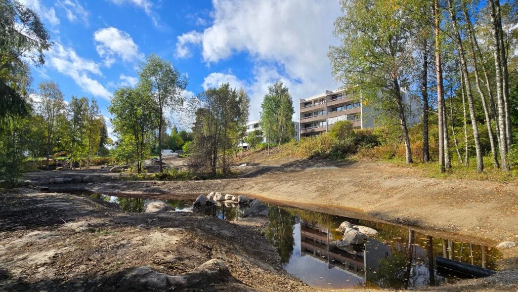 Näkymä kosteikolta kerrostaloille